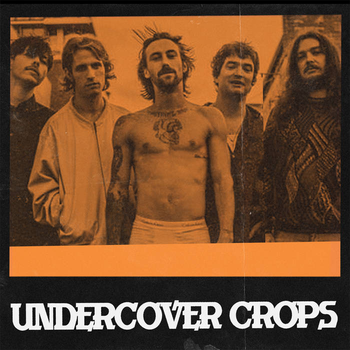 Undercover Crops